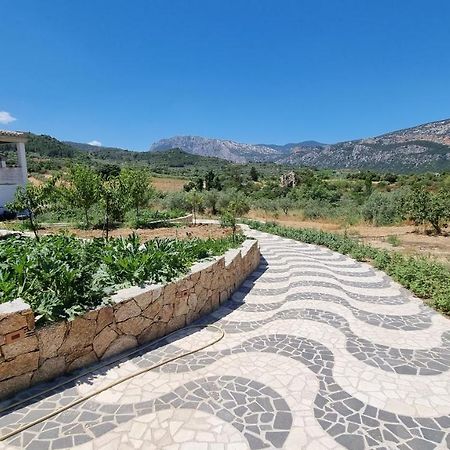 Villa Biriculi Доргалі Екстер'єр фото