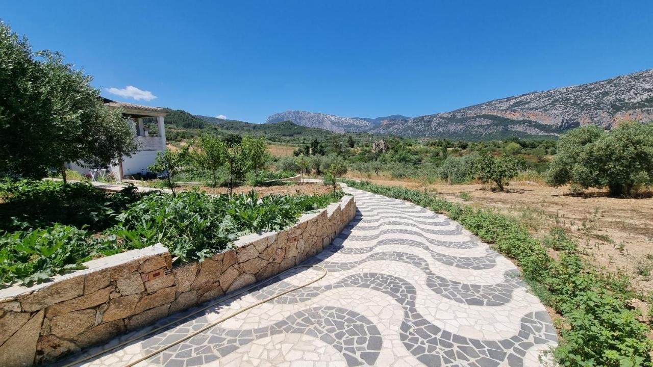 Villa Biriculi Доргалі Екстер'єр фото